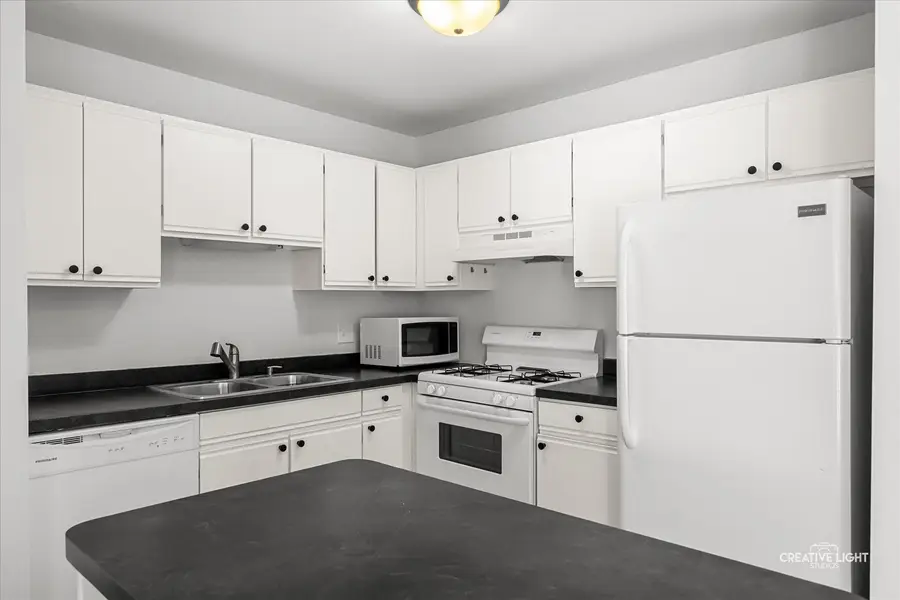 1565 Raymond Drive #201, Naperville, IL 60563 - #2