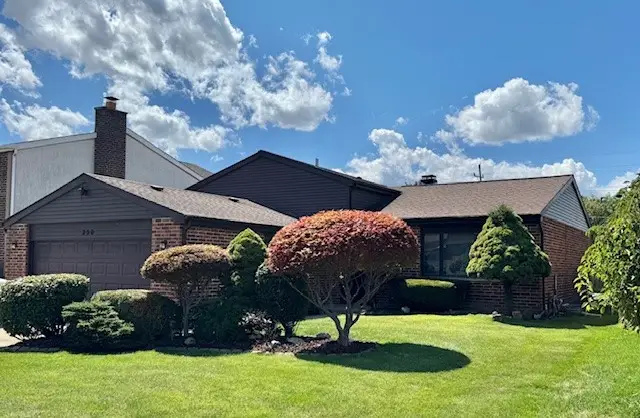 250 Anita Street, Des Plaines, IL 60016 - #1