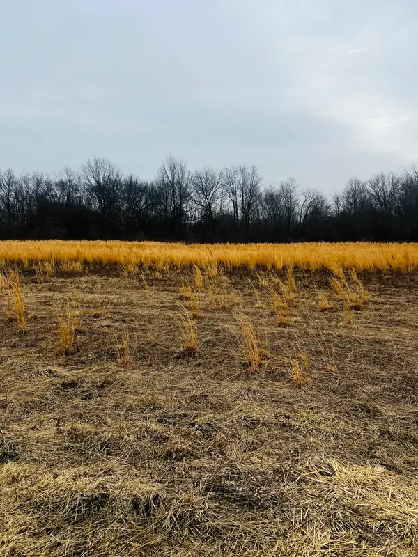 0000 4750 Road, Pembroke Twp, IL 60958