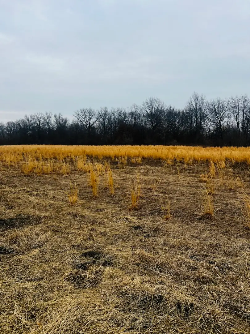 0000 4750 Road, Pembroke, IL 60958 - #2