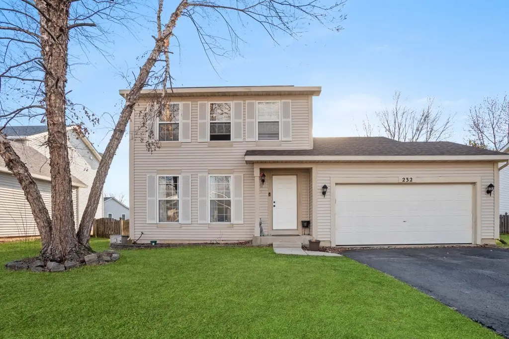 232 Stamford Lane, Romeoville, IL 60446 - #1