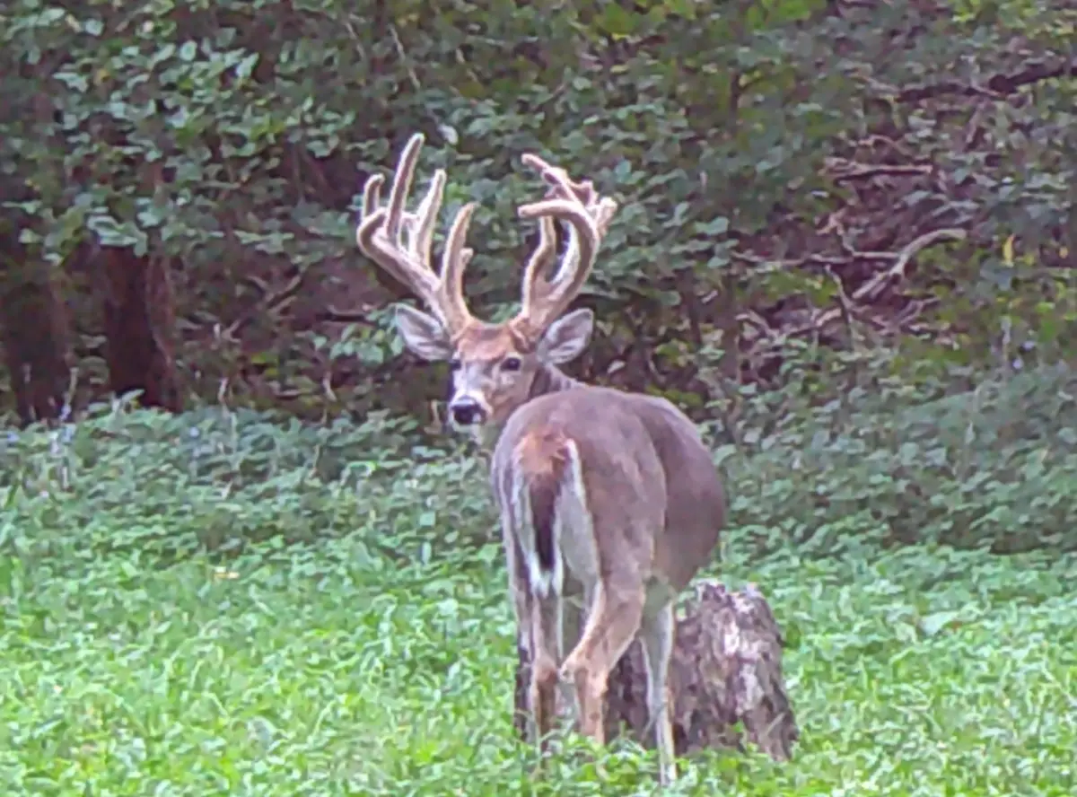 000 E 200th Avenue, Mason, IL 62443 - #1