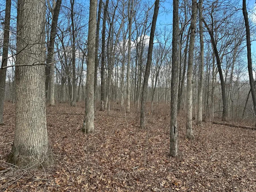 000 E 200th Avenue, Mason, IL 62443 - #3