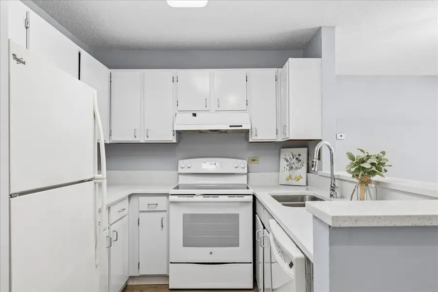 1911 N Hicks Road #103, Palatine, IL 60074 - #2