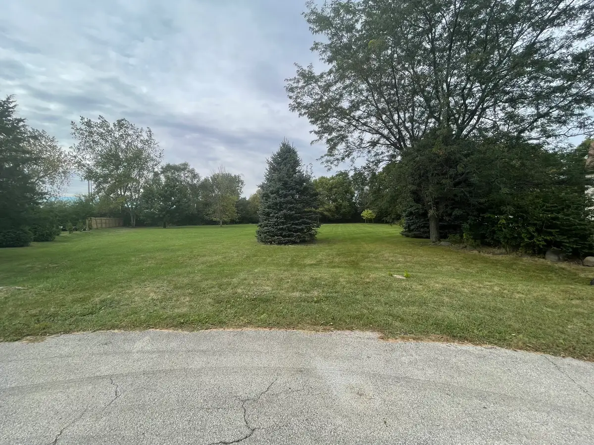 21920 S Burr Ridge Drive, Shorewood, IL 60404 - #1
