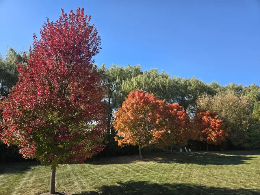 264 Rockville Lane, Gilberts, IL 60136 - #3