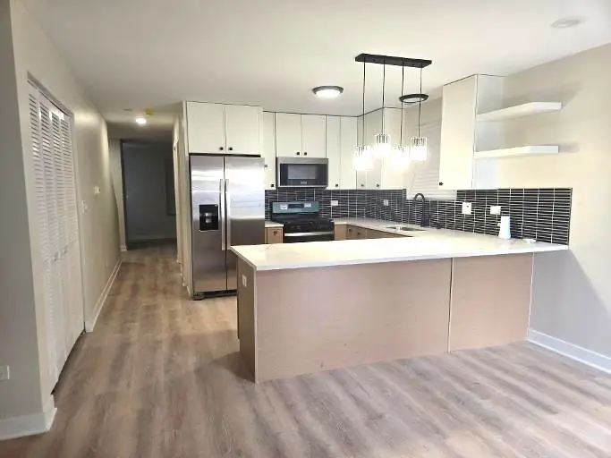 1810 S Hamlin Avenue, Chicago, IL 60623 - #3