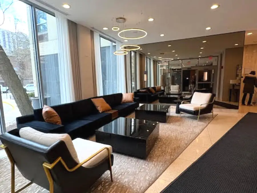 1255 N Sandburg Terrace #806E, Chicago, IL 60610 - #2