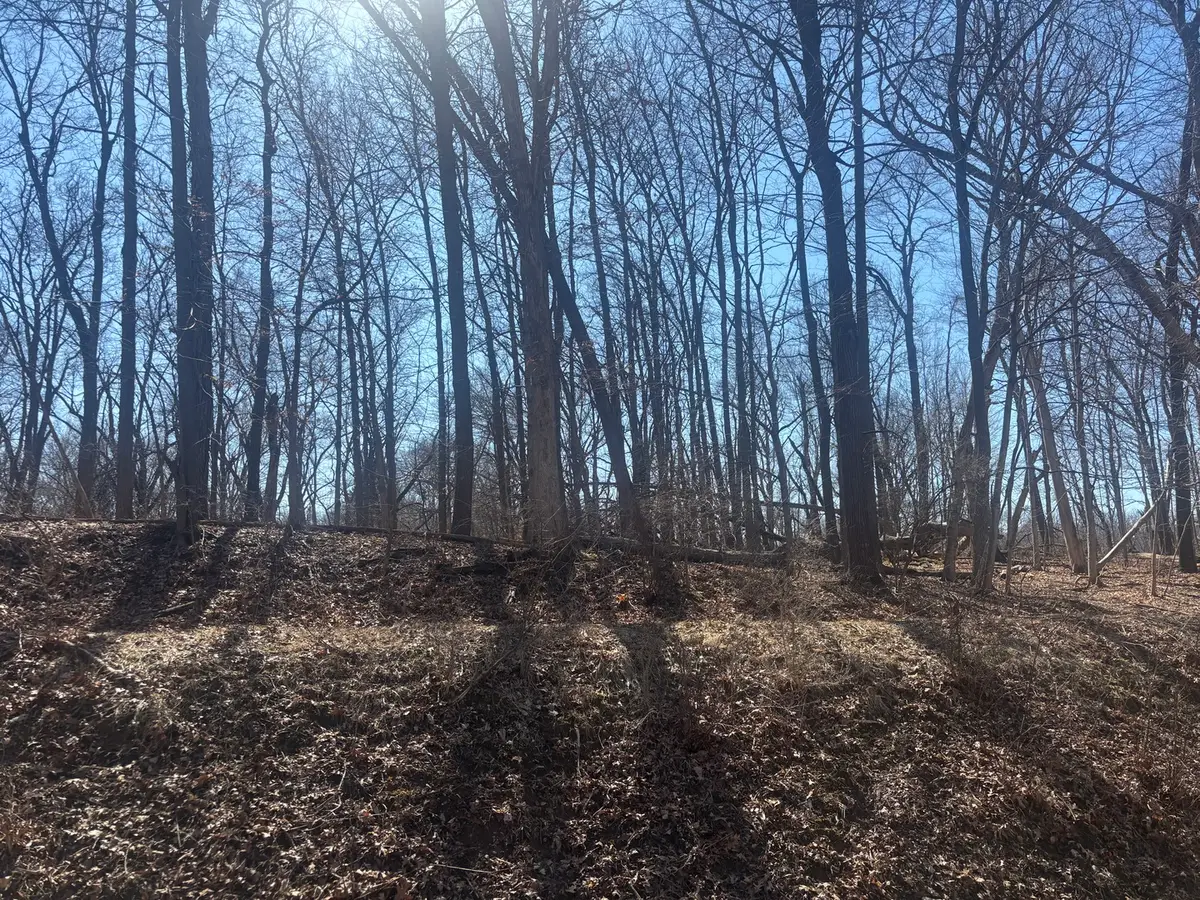 839 Lake Wildwood Drive, Varna, IL 61375 - #1