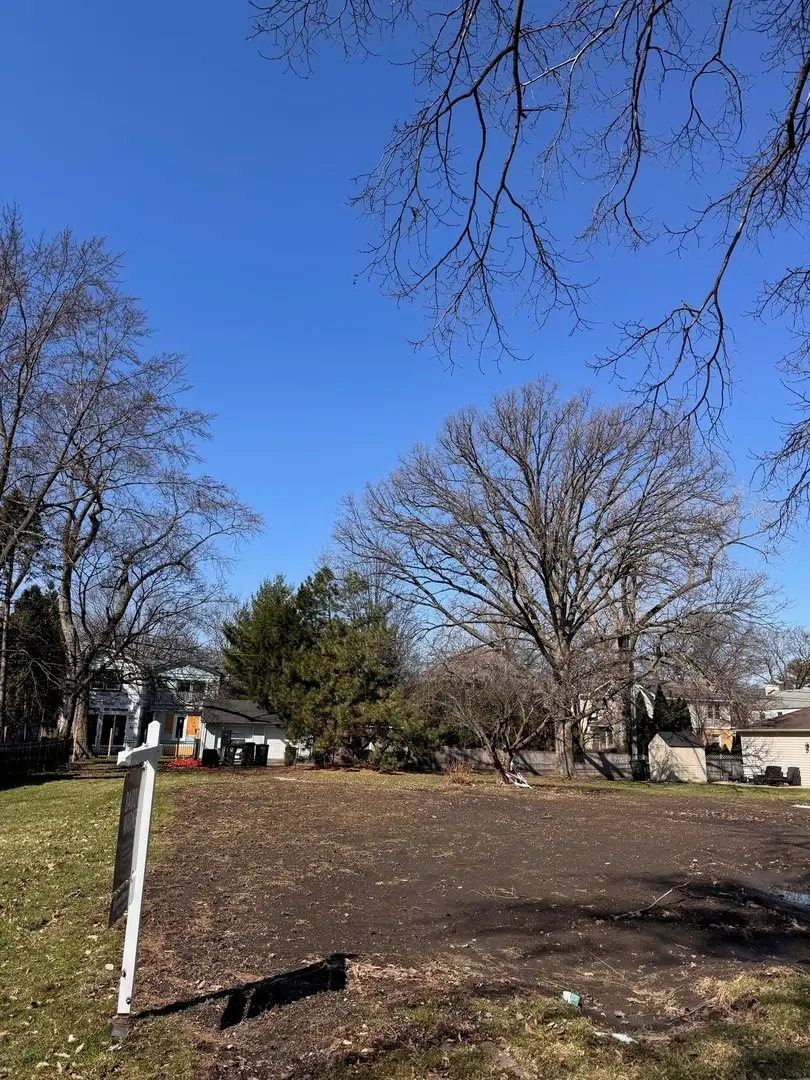 916 Cleveland Avenue, Park Ridge, IL 60068 - #2