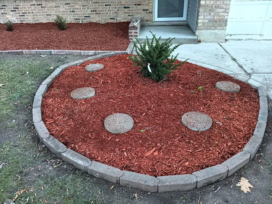 531 Wildwood Drive, Park Forest, IL 60466 - #3