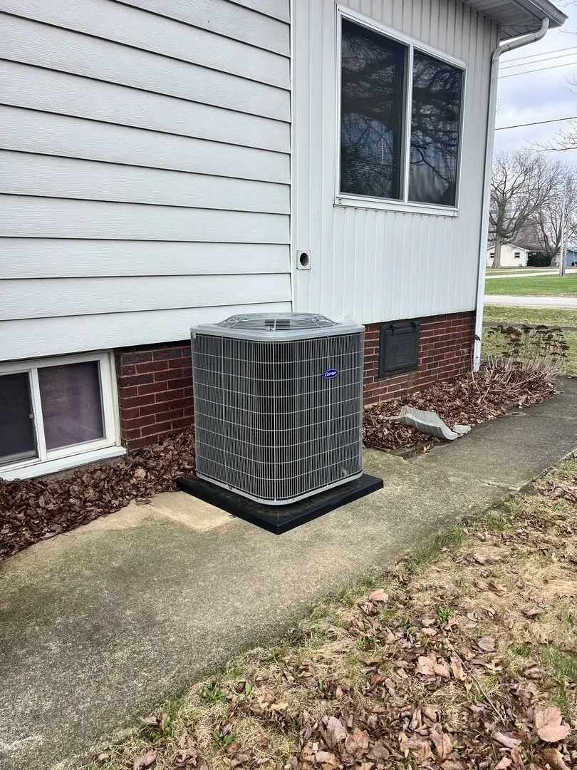 111 W Central Street, Buckley, IL 60918 - #2