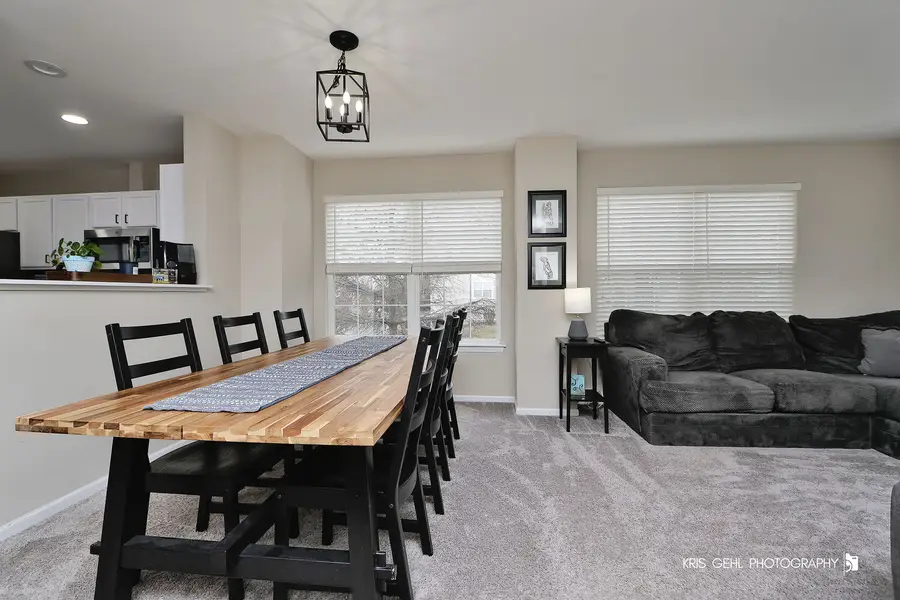 34399 N Barberry Court, Round Lake, IL 60073 - #2