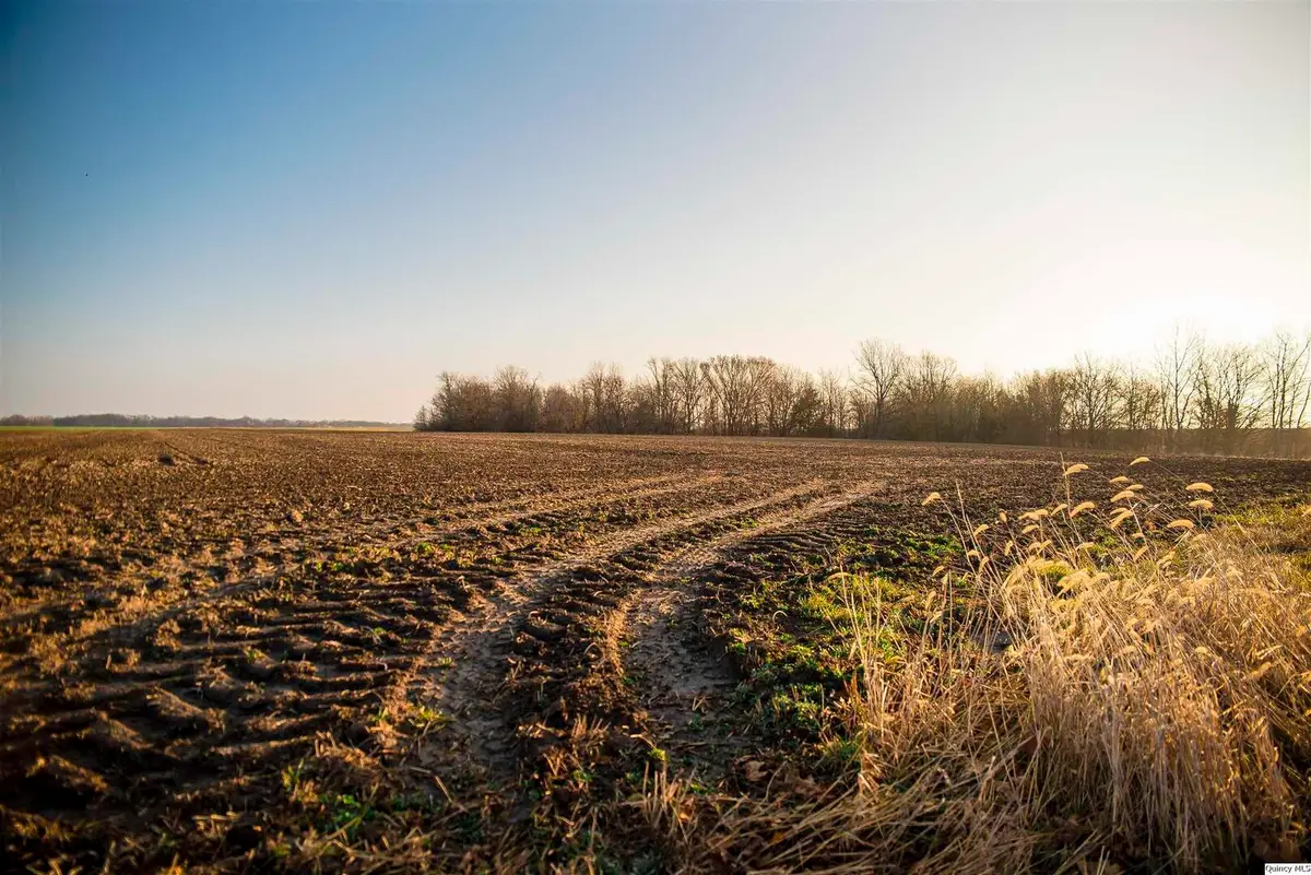 SE SEC 23 Keene Township, Loraine, IL 62349 - #1