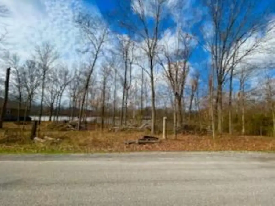 #16 Moses Manor Drive, Benton, IL 62812 - #2