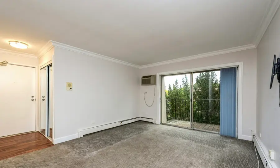 1459 N Winslowe Drive #301, Palatine, IL 60074 - #2