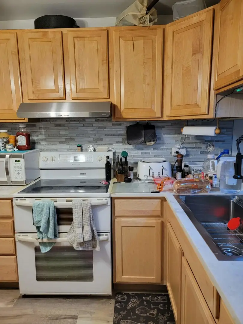 236 George Street #B, Bensenville, IL 60106 - #2