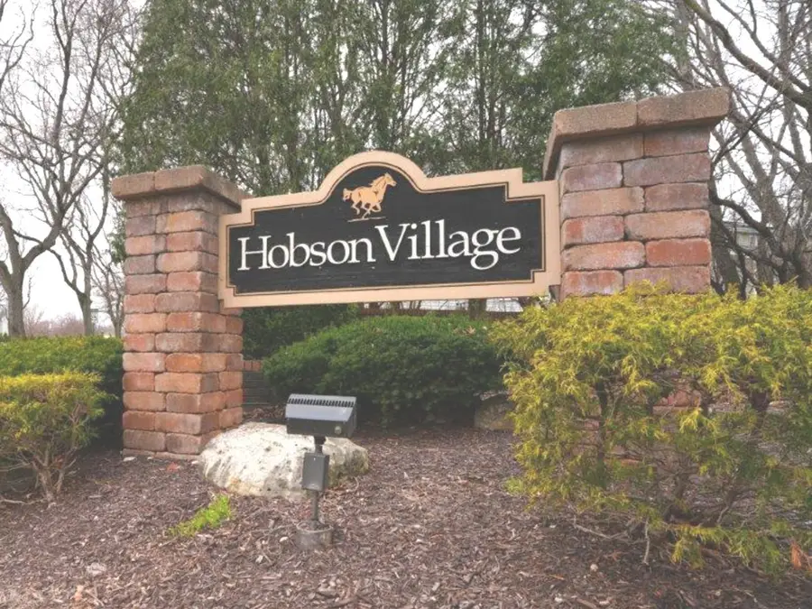1006 Whirlaway Avenue, Naperville, IL 60540 - #2