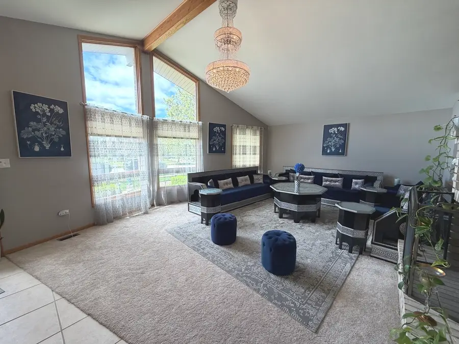 19839 Silverside Drive, Tinley Park, IL 60487 - #3