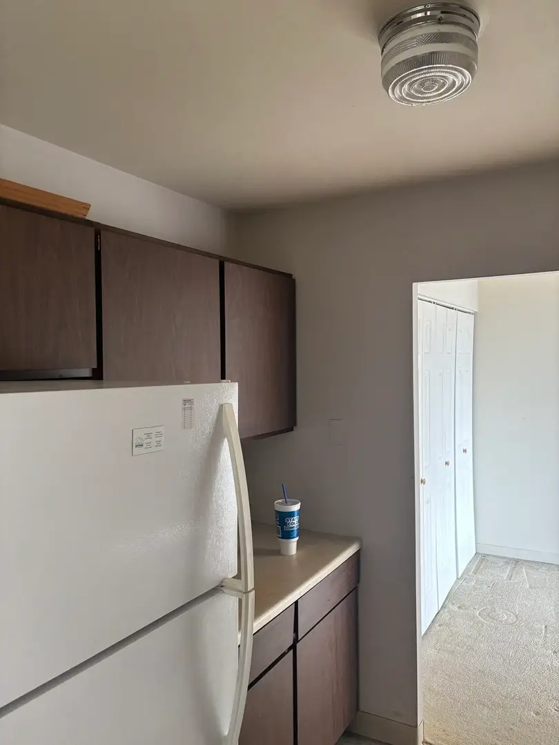 33 N Main Street #3E, Lombard, IL 60148 - #2