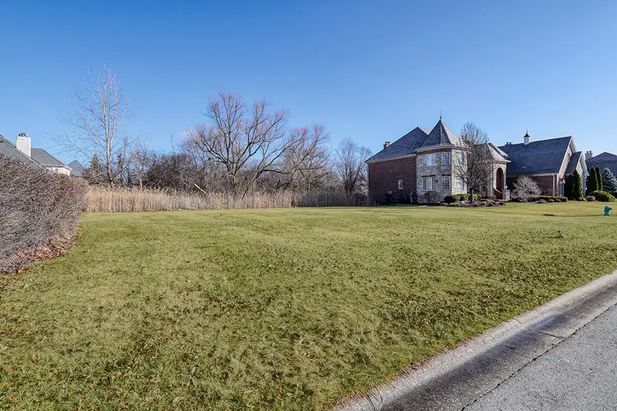 115 Ruffled Feathers Drive, Lemont, IL 60439 - #2