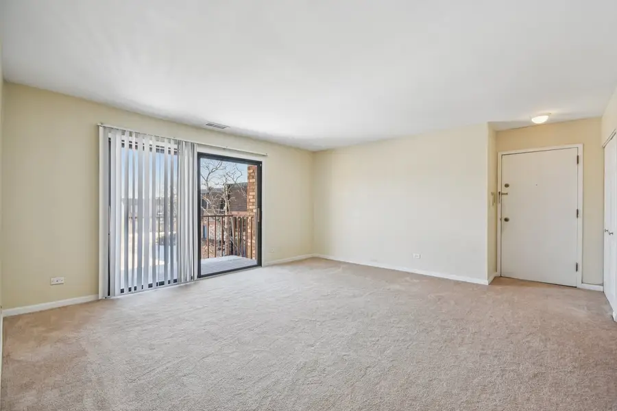 725 Limerick Lane #2B, Schaumburg, IL 60193 - #3