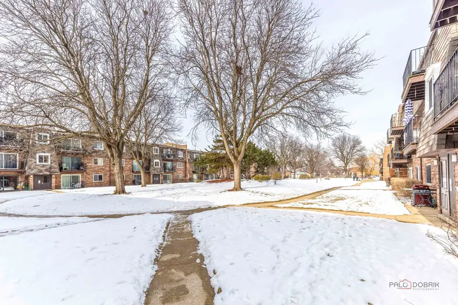 9396 Bay Colony Drive #1S, Des Plaines, IL 60016 - #2