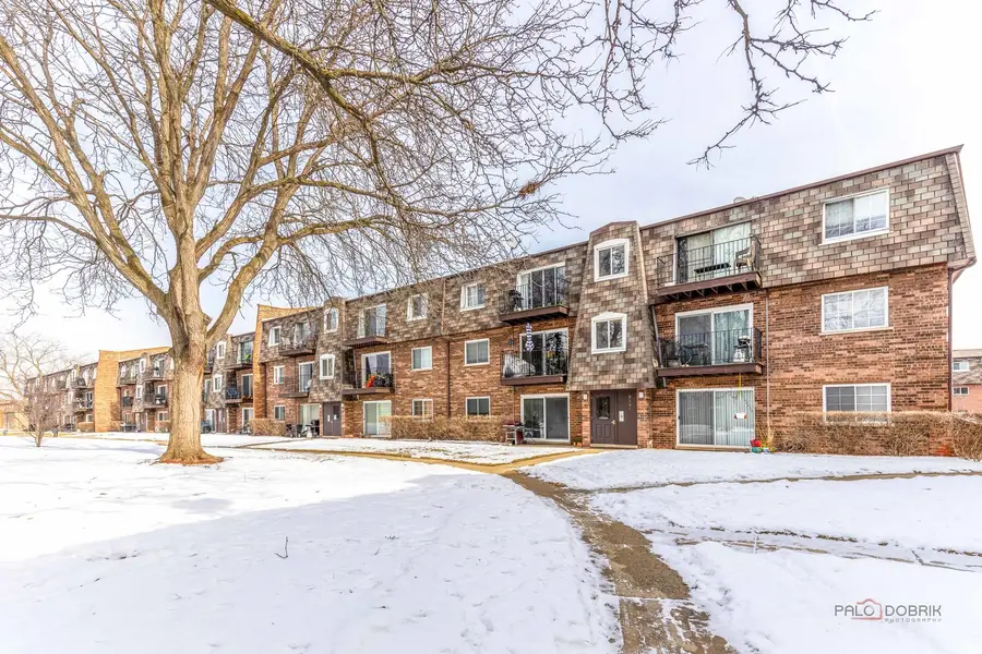 9396 Bay Colony Drive #1S, Des Plaines, IL 60016 - #3