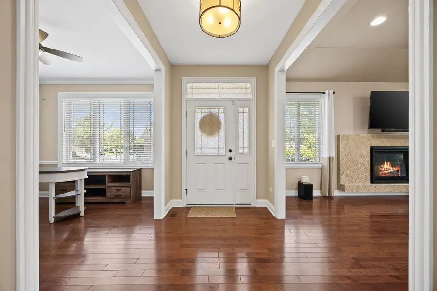 14660 Aster Lane, Homer Glen, IL 60491 - #2