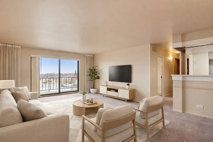 700 N Bruce Lane #312, Glenwood, IL 60425 - #3