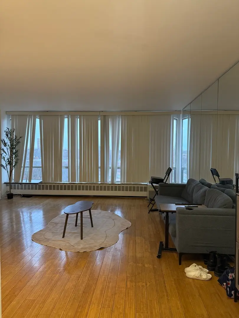 1450 E 55th Place #720S, Chicago, IL 60637 - #2