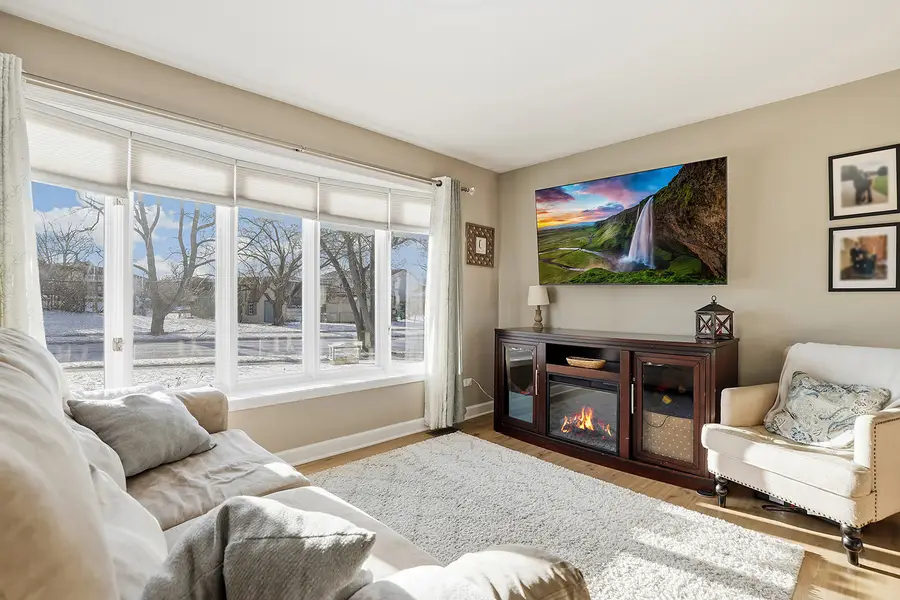 16538 Parliament Avenue, Tinley Park, IL 60477 - #2