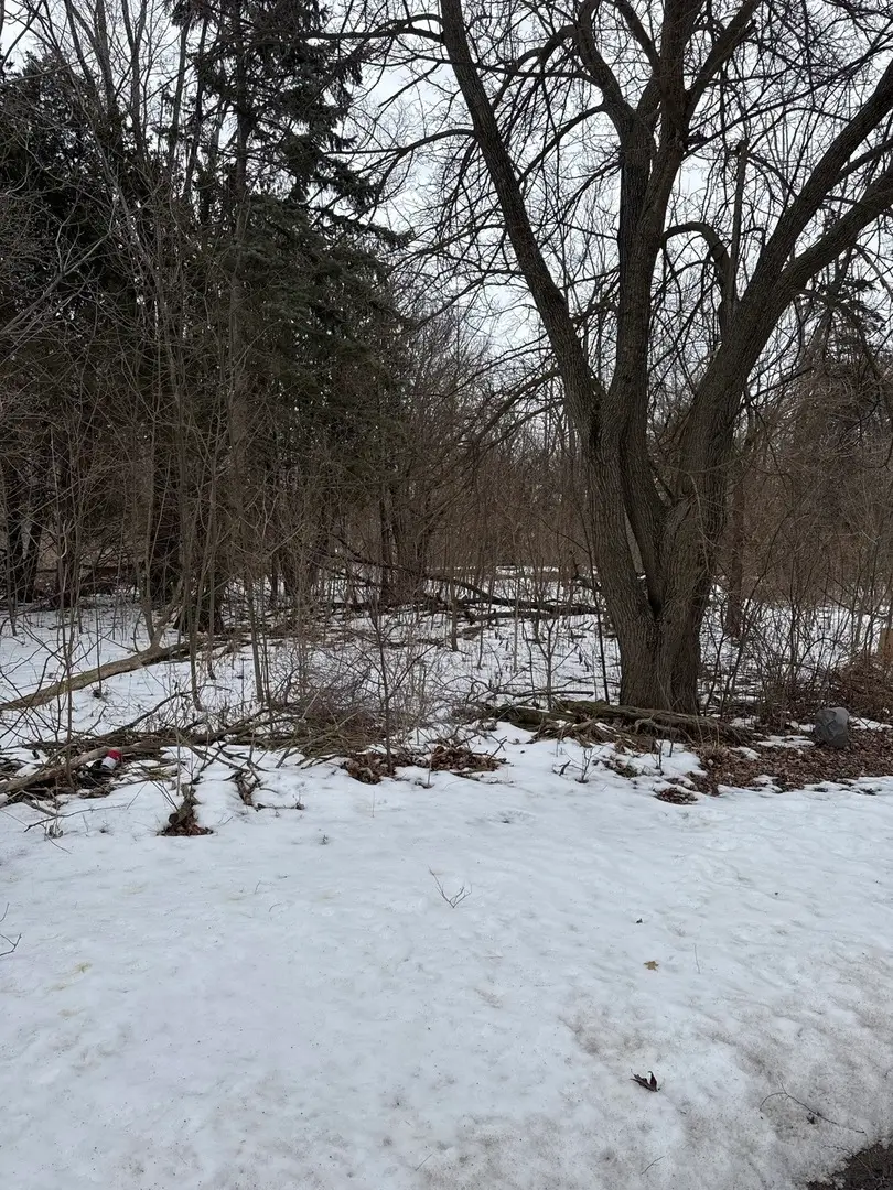 1601 Faithorn Avenue, Crete, IL 60417 - #3