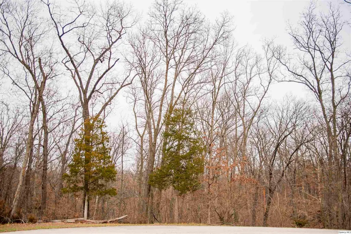 4611 Barbara Jane Court, Quincy, IL 62305 - #1