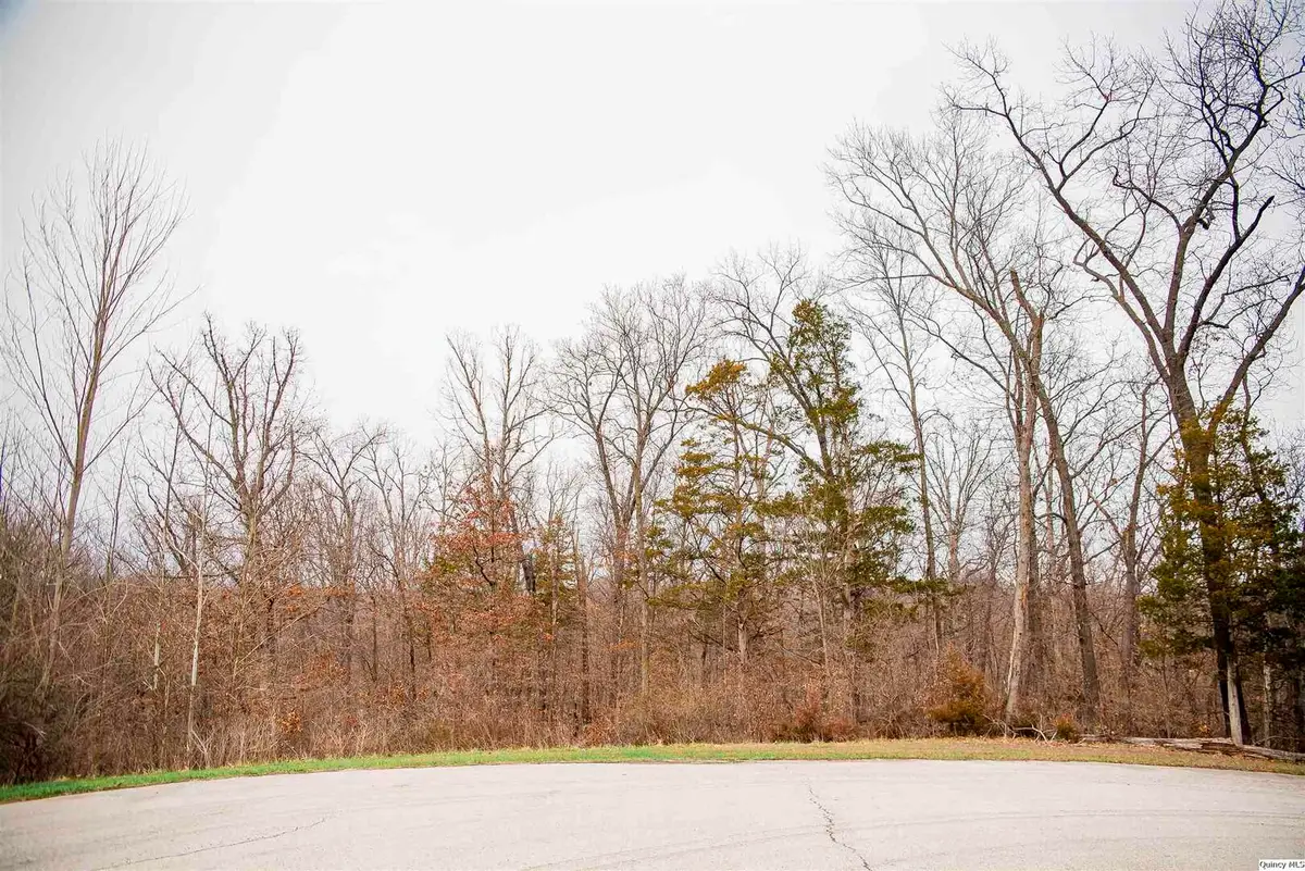 4605 Barbara Jane Court, Quincy, IL 62305 - #1