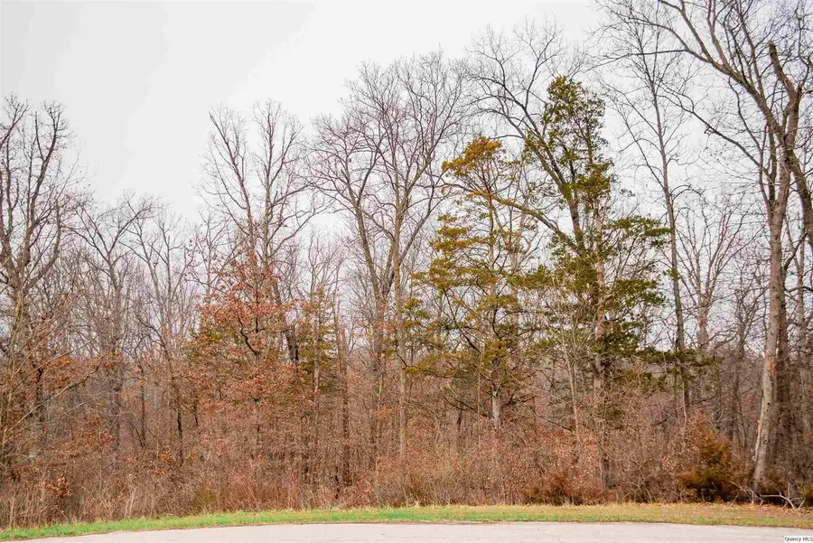 4605 Barbara Jane Court, Quincy, IL 62305 - #2