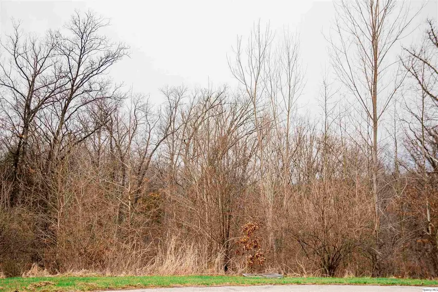 4604 Barbara Jane Court, Quincy, IL 62305 - #2