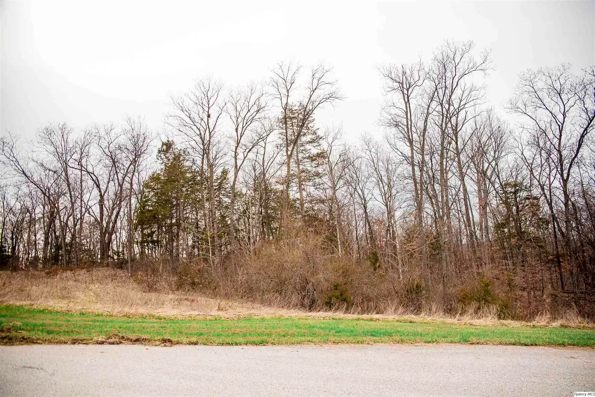 4610 Barbara Jane Court, Quincy, IL 62305 - #1