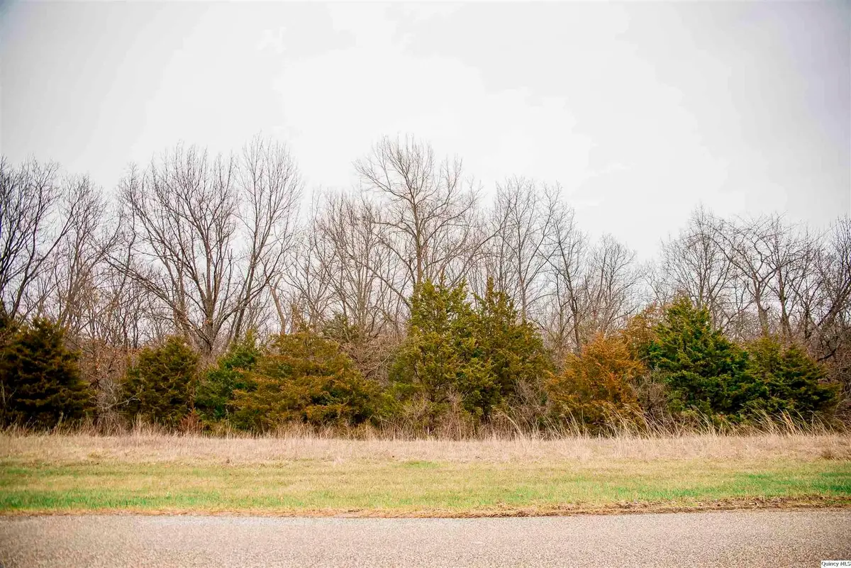 4601 Oakwood Dr, Quincy, IL 62305 - #1