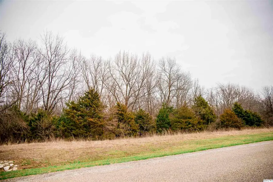 4601 Oakwood Dr, Quincy, IL 62305 - #2