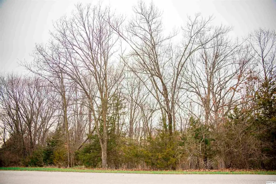 SE Cor Lot 15, Quincy, IL 62305 - #2