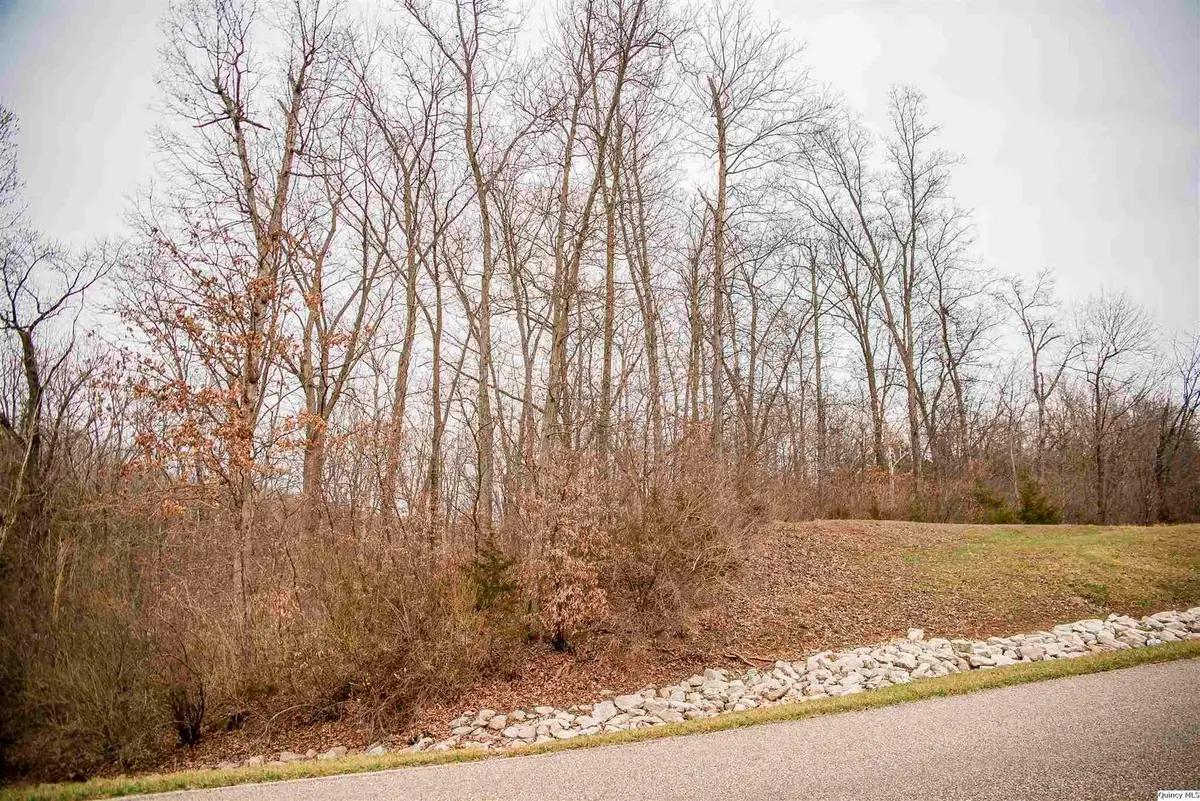 SE Sec 21 1.244 A, Quincy, IL 62305 - #1