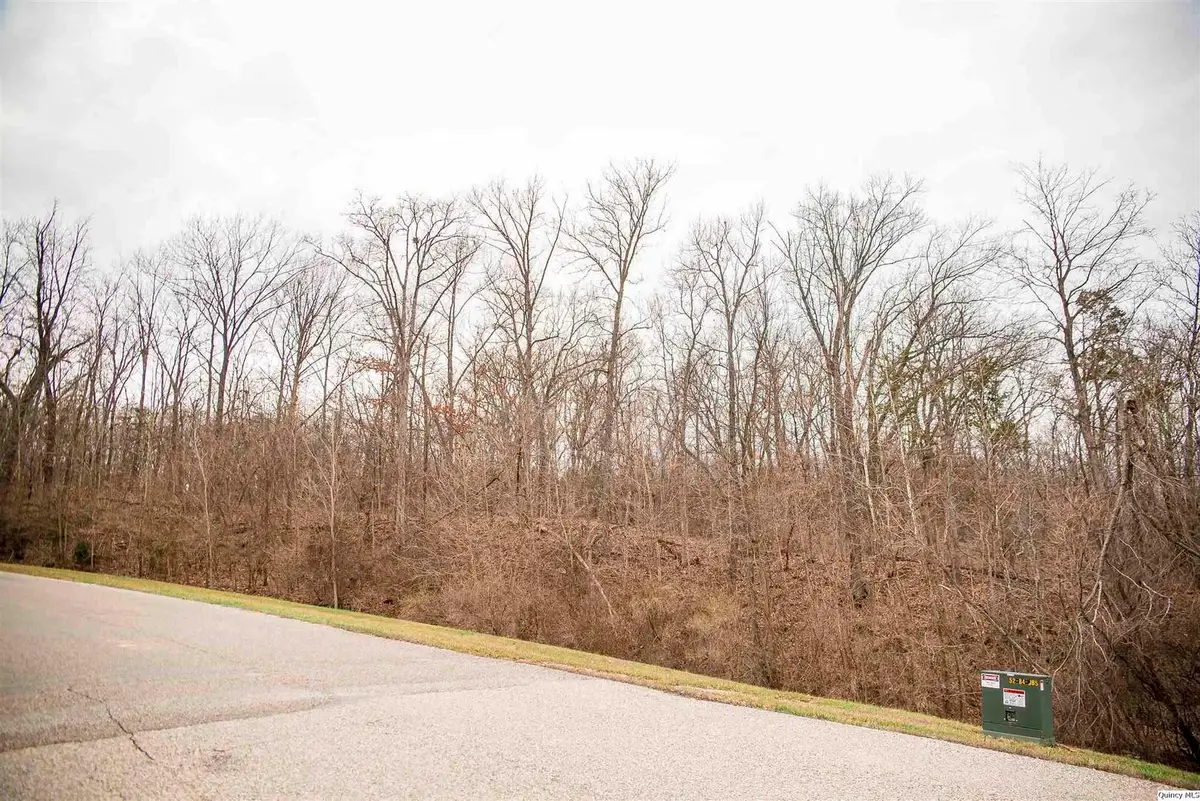 SE Sec 21 2s8w 3.139, Quincy, IL 62305 - #1