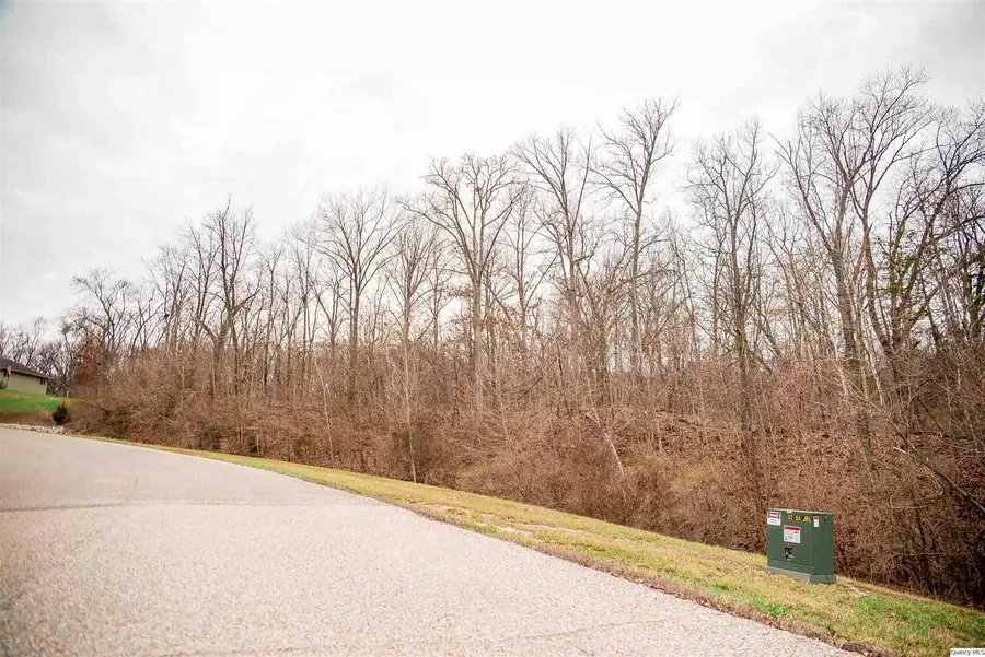 SE Sec 21 2s8w 3.139, Quincy, IL 62305 - #2