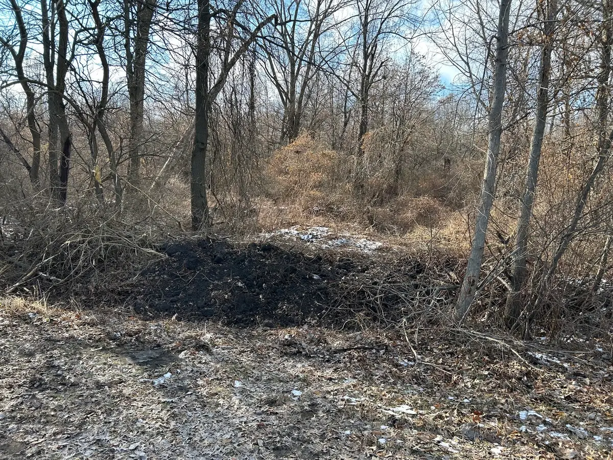 15001 15000 Road, Pembroke, IL 60958 - #1