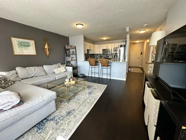 30 E Huron Street #3706, Chicago, IL 60611 - #2