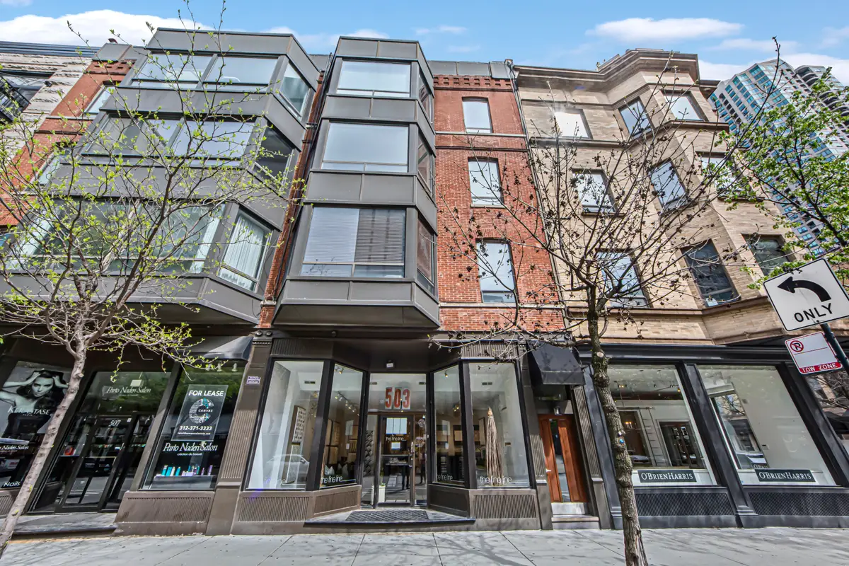 503 N Wells Street #2, Chicago, IL 60654 - #1