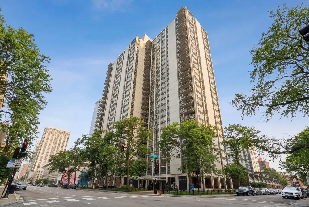 1255 N Sandburg Terrace #309E, Chicago, IL 60610 - #1