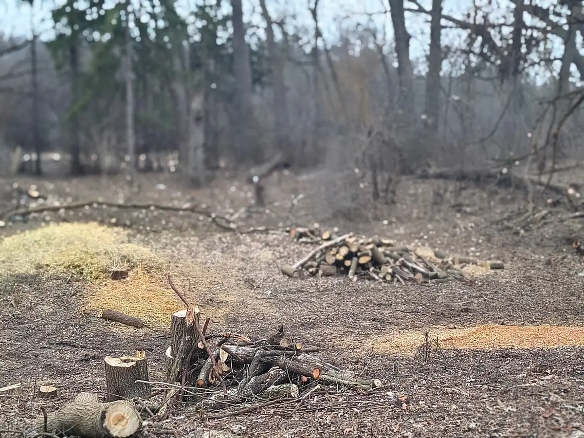 Lot 1 Asbury Avenue, Fox River Grove, IL 60021 - #1