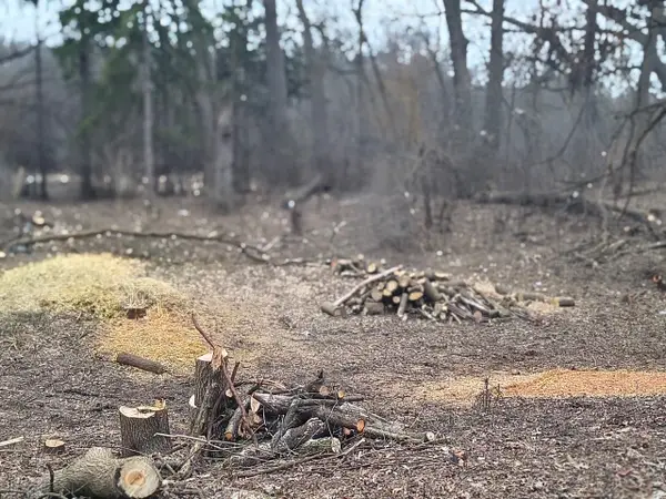 Lot 1 Asbury Avenue, Fox River Grove, IL 60021